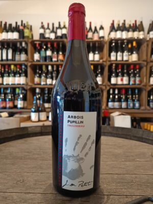 Domaine de la Renardière - Trousseau